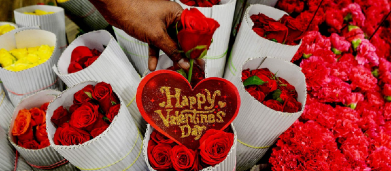 Captura de pantalla 2026-01-09 093933