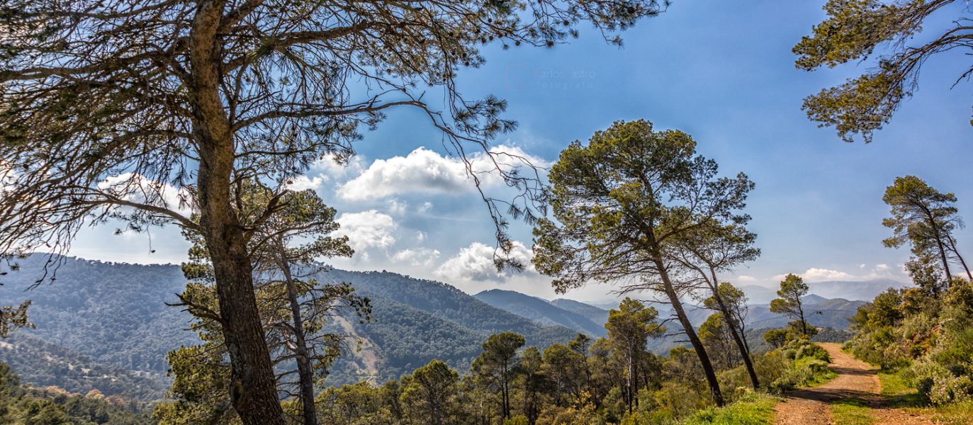 montes-de-malaga